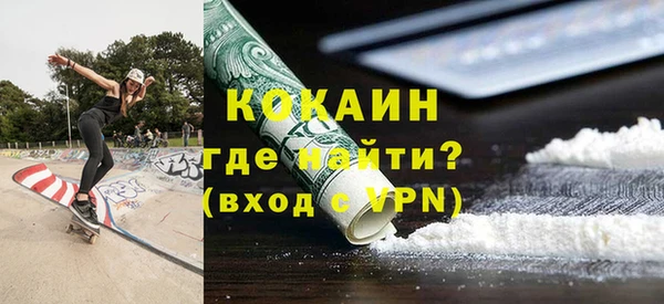 ПСИЛОЦИБИНОВЫЕ ГРИБЫ Новозыбков