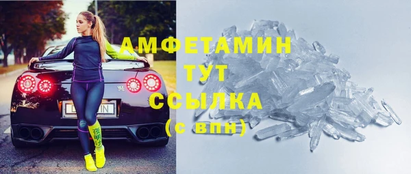 ПСИЛОЦИБИНОВЫЕ ГРИБЫ Новозыбков
